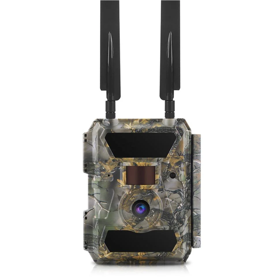 Miniatyrbild 1