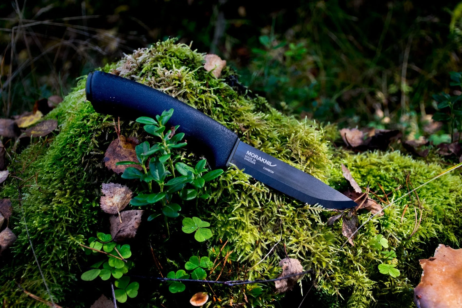 Bushcraft BlackBlade (C) Black – Morakniv - Image 2