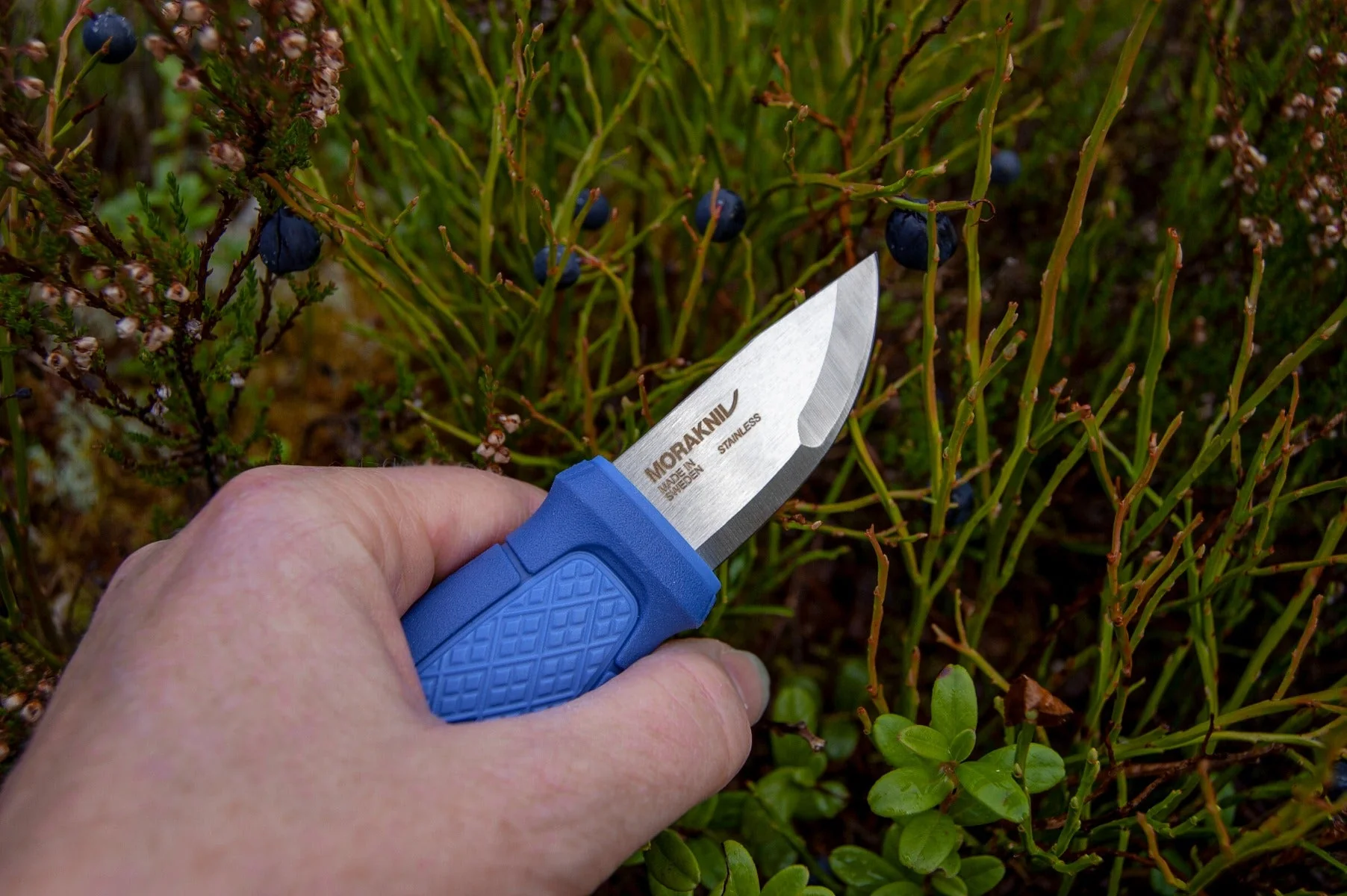 Eldris (S) Blue – Morakniv - Image 2