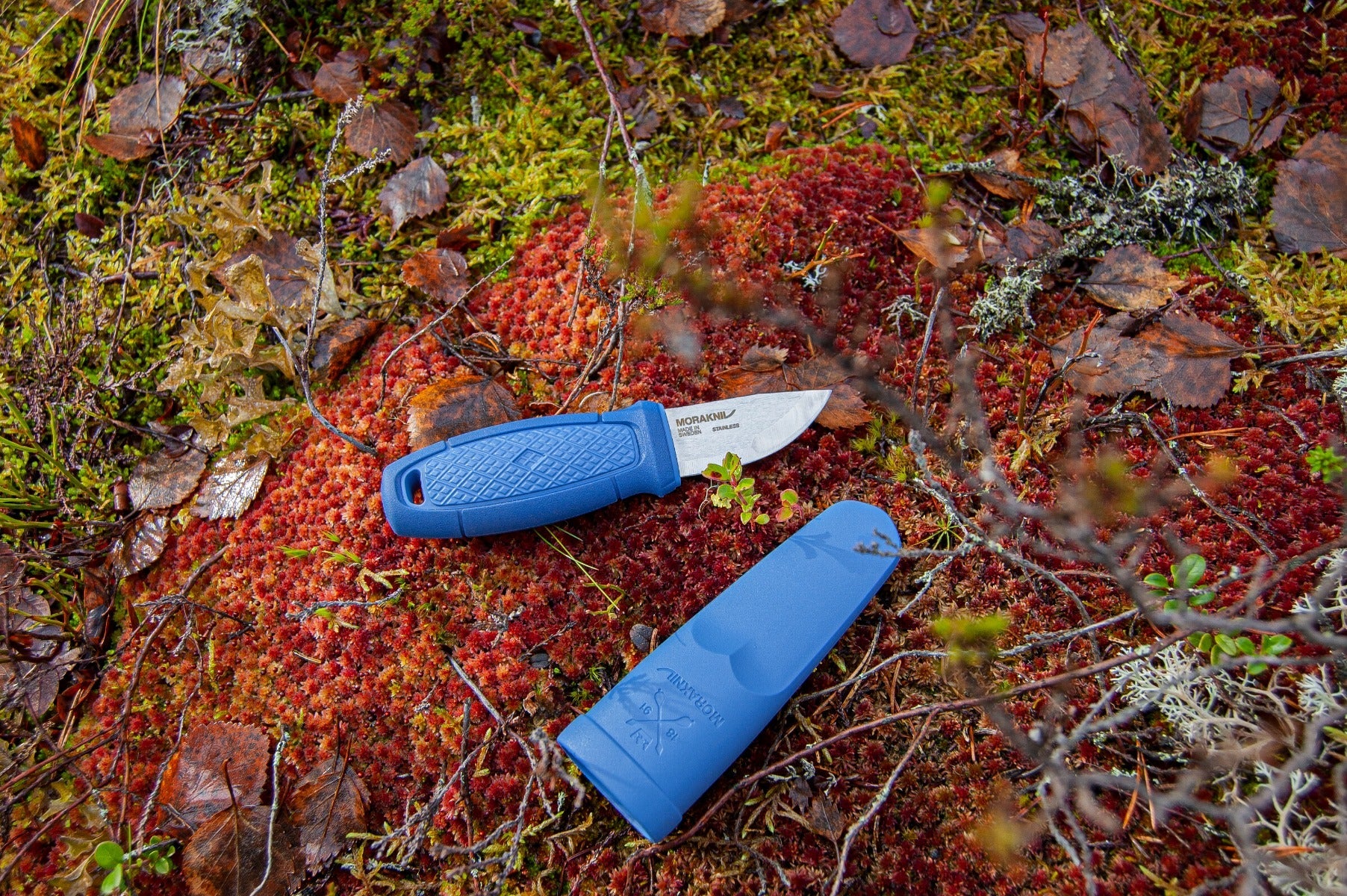 Eldris (S) Blue – Morakniv - Image 3