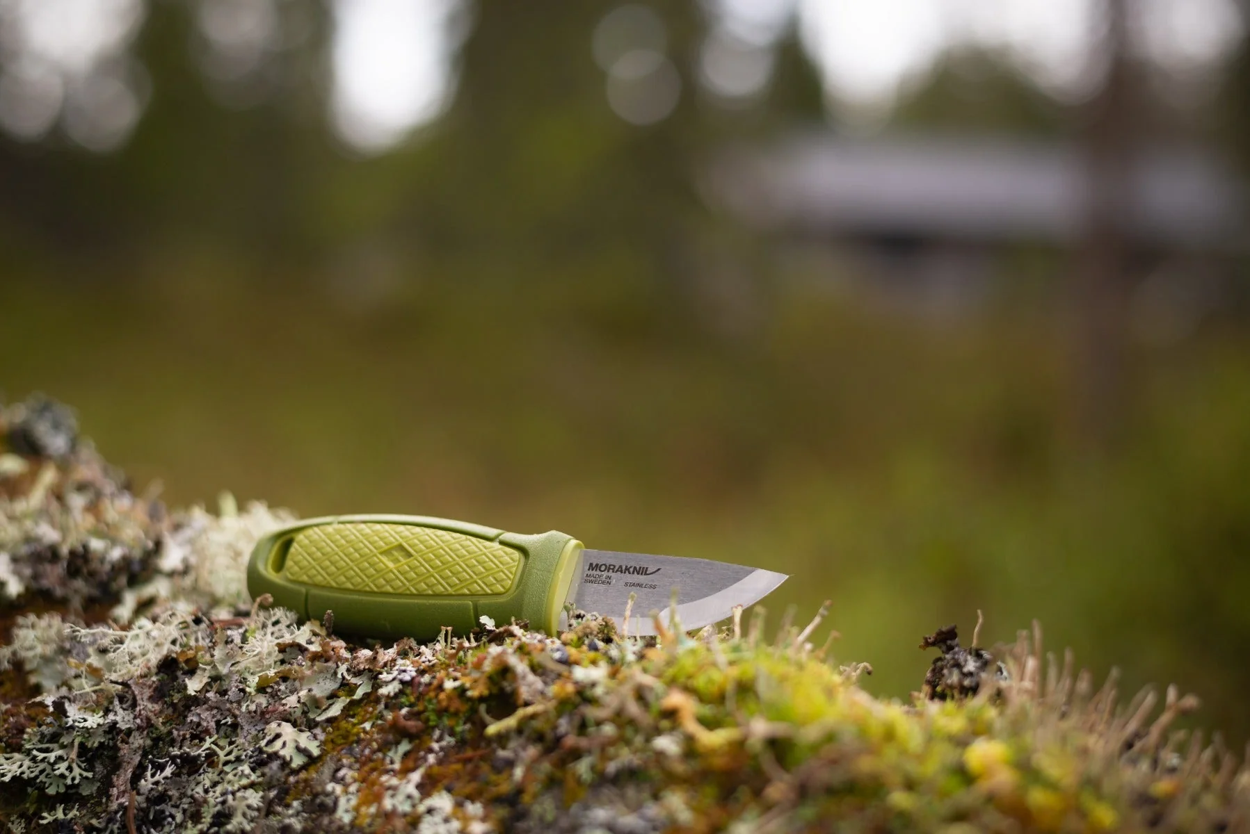 Eldris (S) Green – Morakniv - Image 3