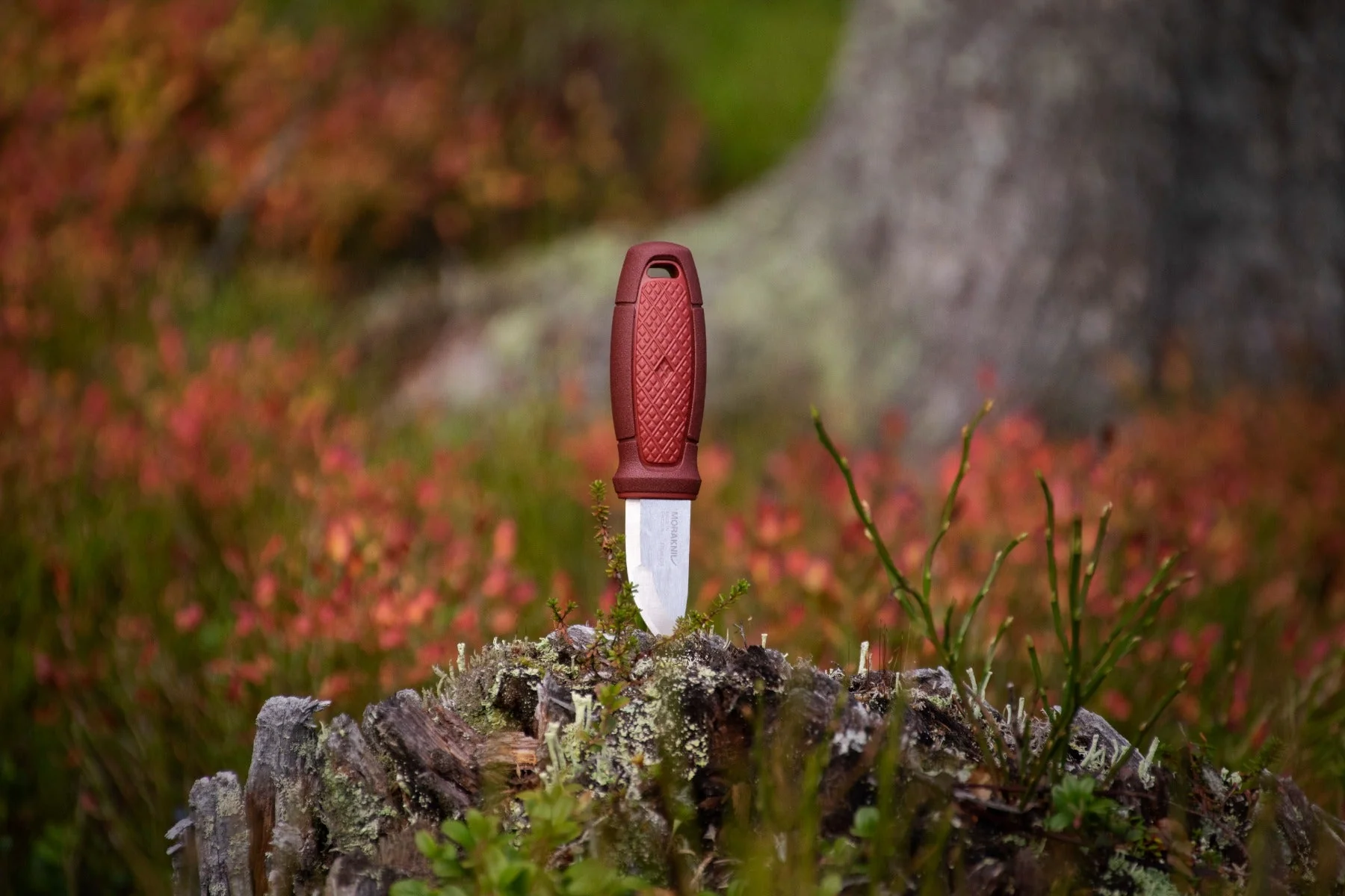 Eldris (S) Red – Morakniv - Image 5