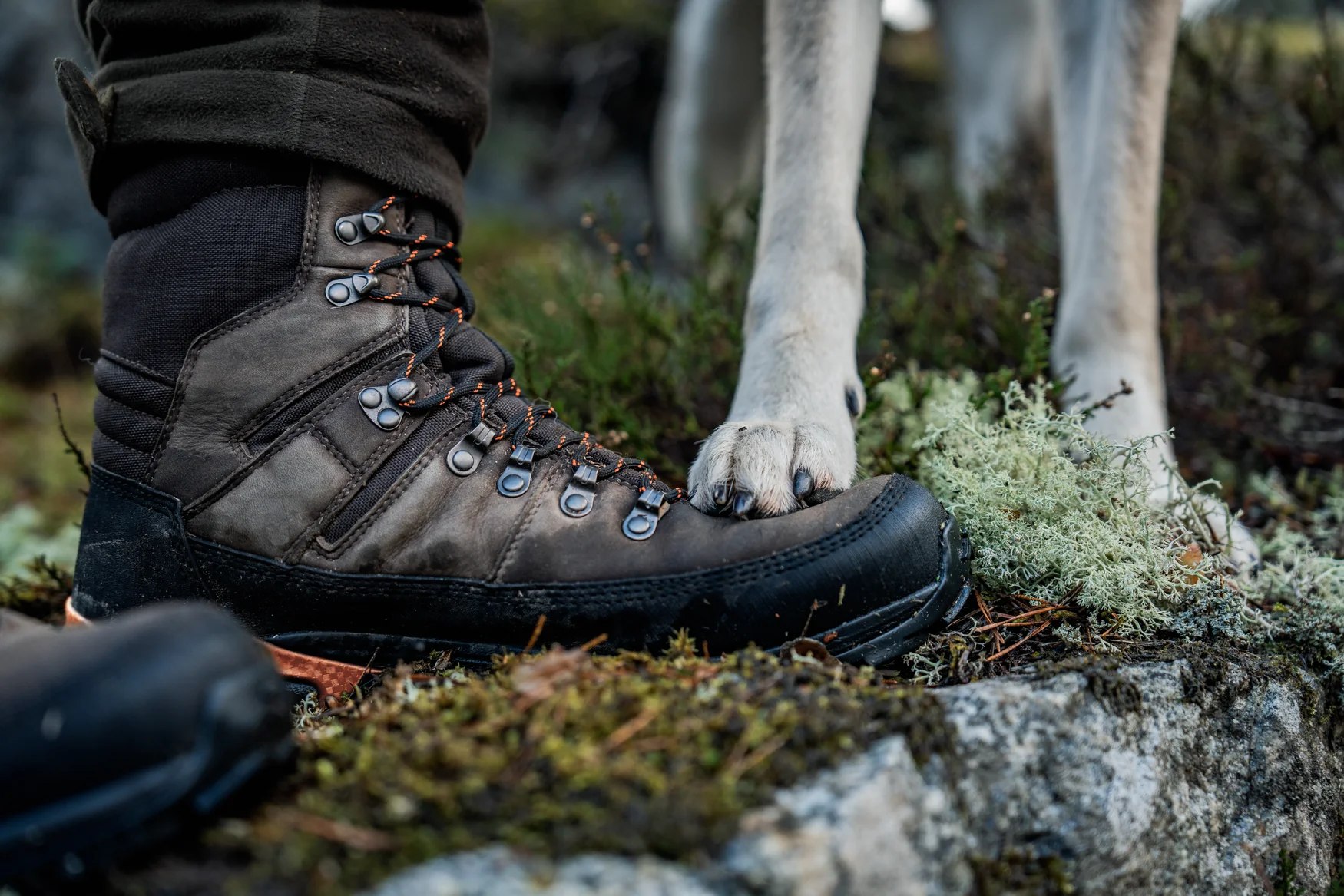 Enduro Tracker High Känga Dark Brown – Enduro - Image 13