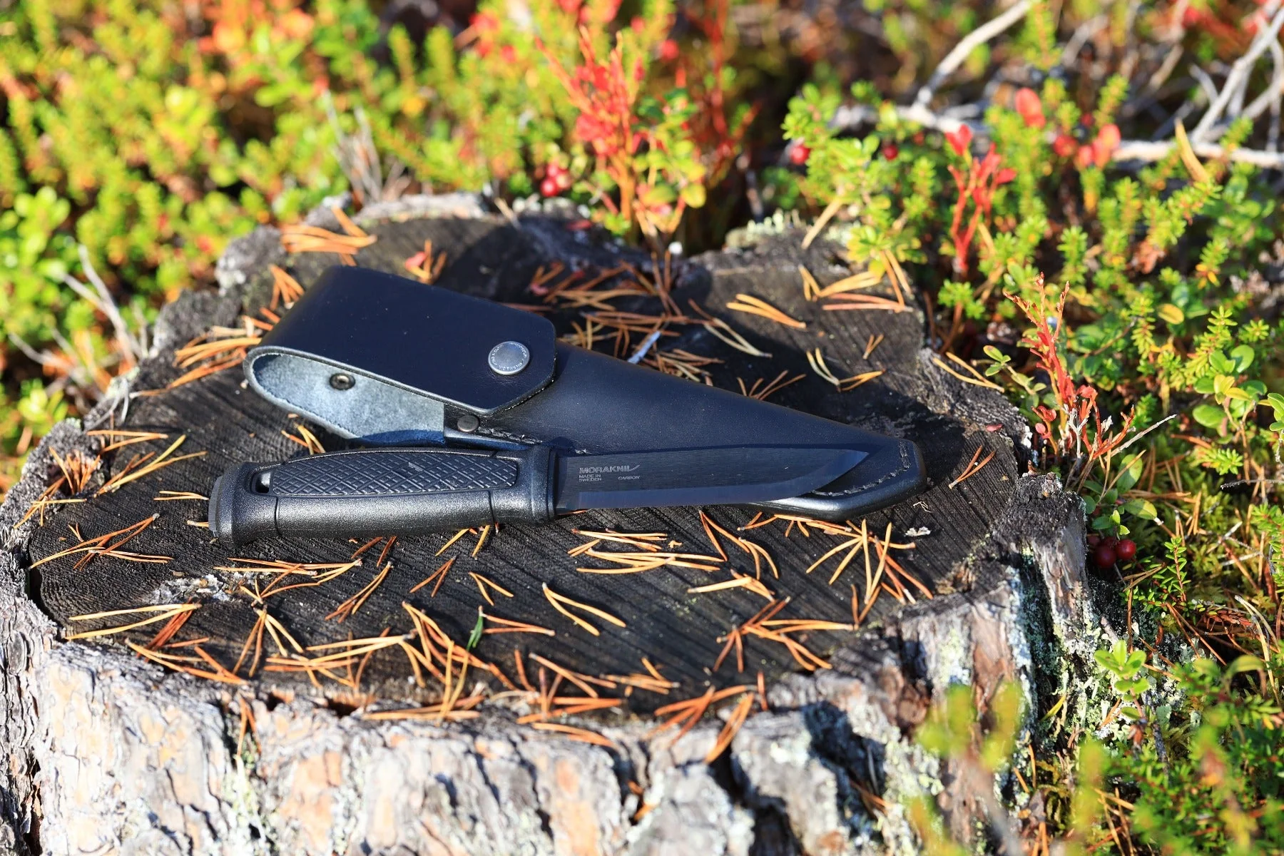 Garberg BlackBlade med läderslida – Morakniv - Image 4