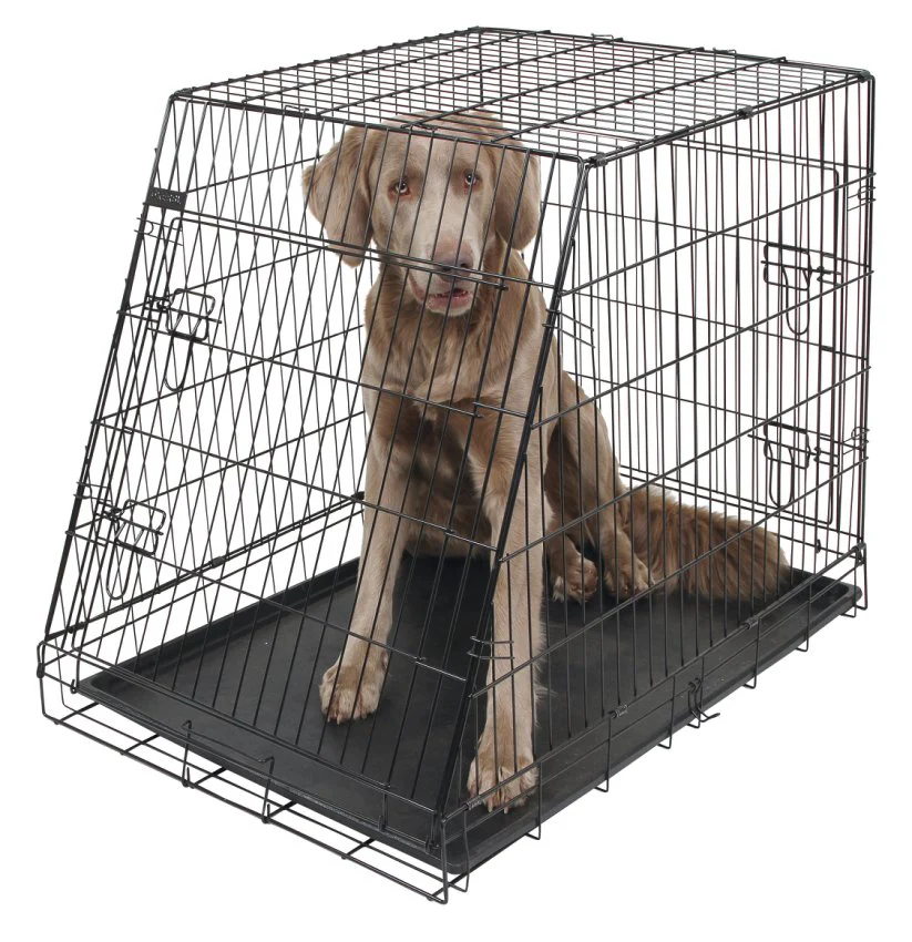 Hundbur i stål, fällbar, sned – 92x63x74 cm – Kerbl - Image 7