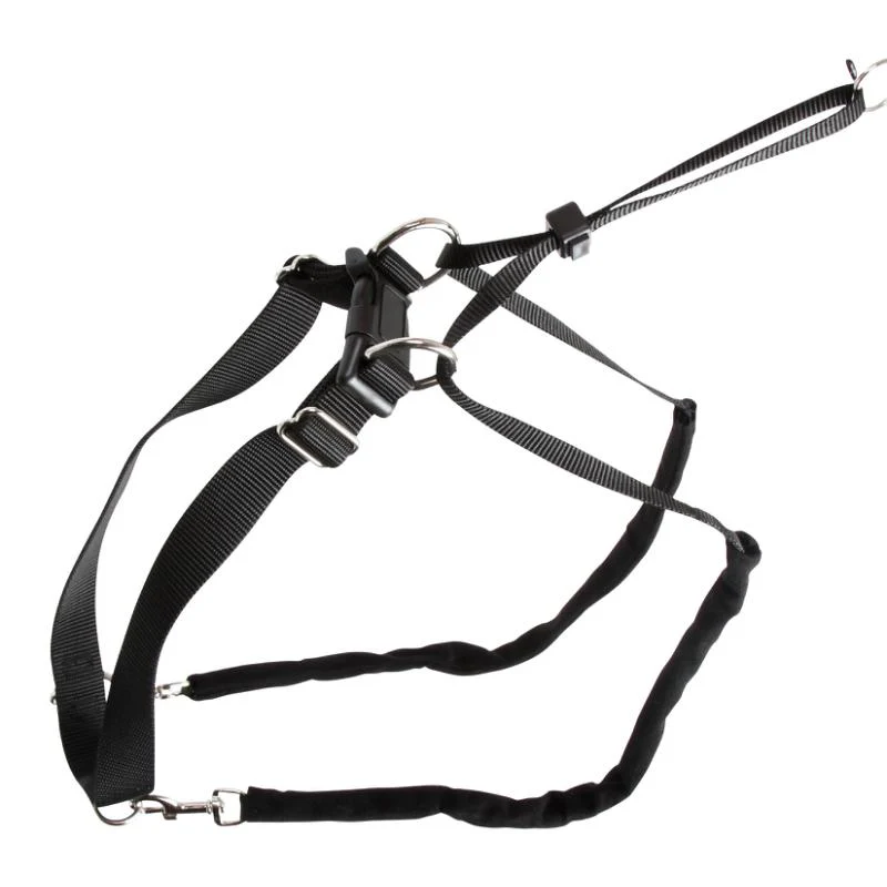 Hundsele Maxi Leader - Hals 25-30 cm – Kerbl