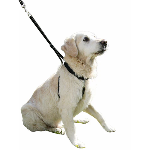 Hundsele Maxi Leader - Hals 45-60 cm – Kerbl - Image 4