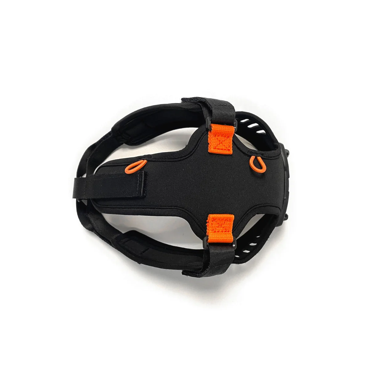 Ignite – Silva - Image 6