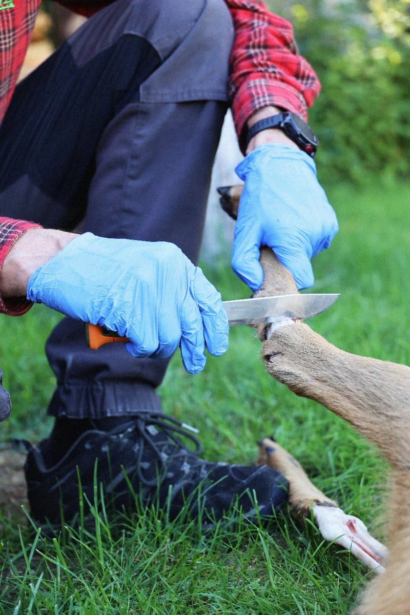 Kansbol Hunting (S) – Morakniv - Image 2