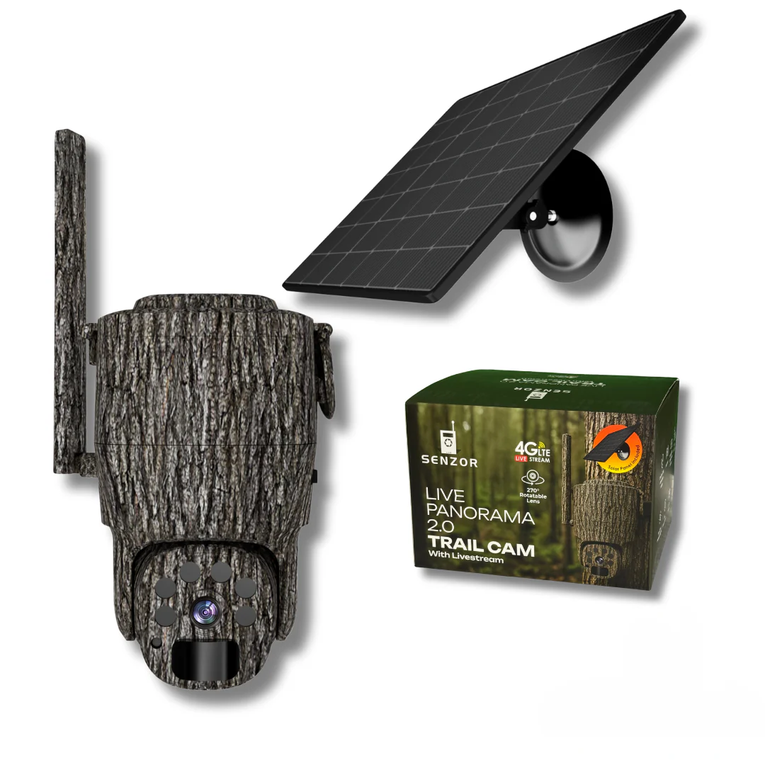 Miniatyrbild 1