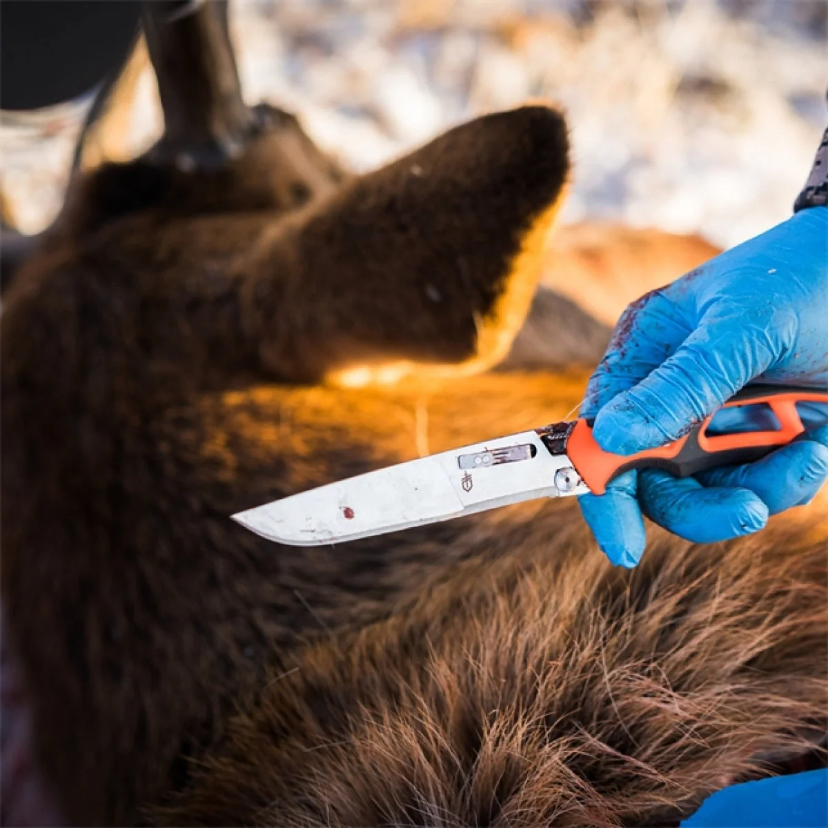 Randy Newberg Fastbladig kniv EBS - Gerber - Image 7