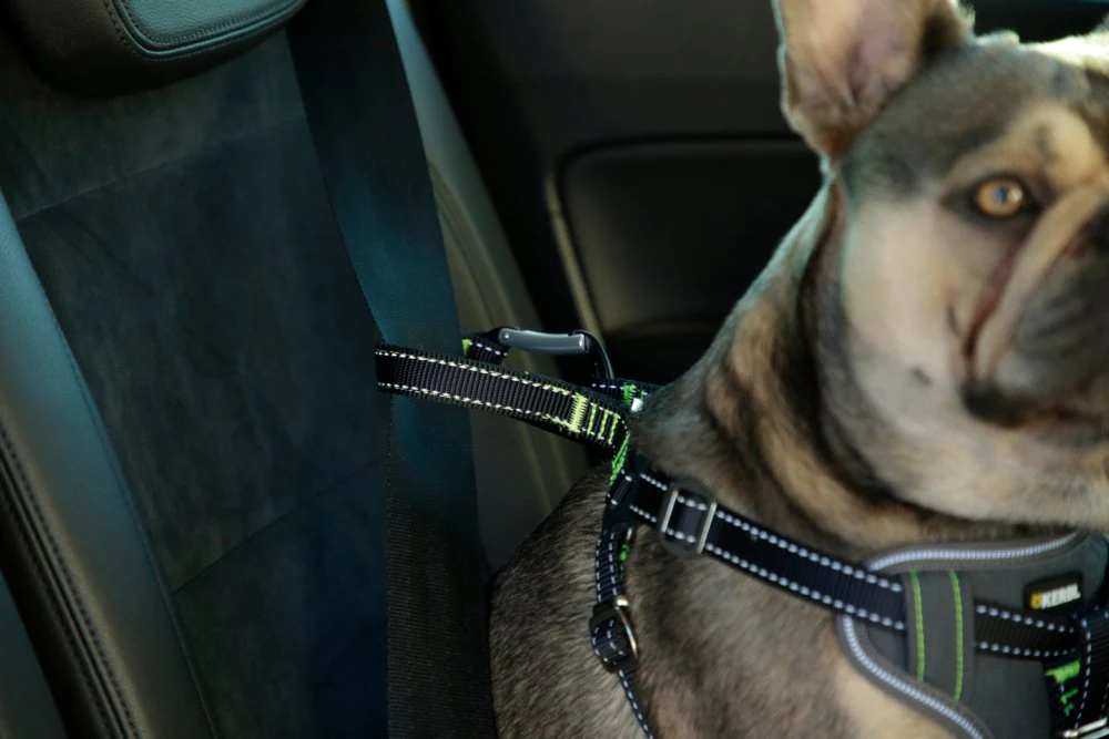 Säkerhetssele för hund i bil - S – Kerbl - Image 4