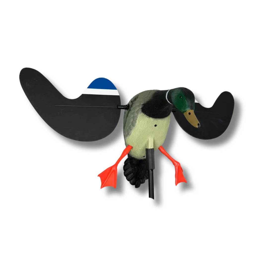 Miniatyrbild 1