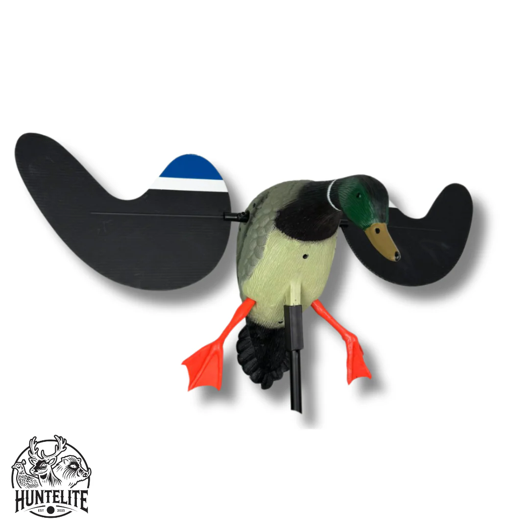 Snurrande vinge - gräsand - HuntElite - Image 4