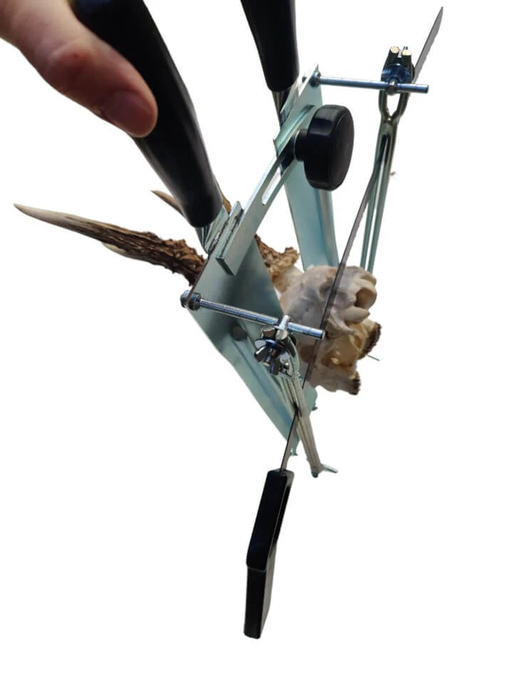 Trofésåg - Image 2