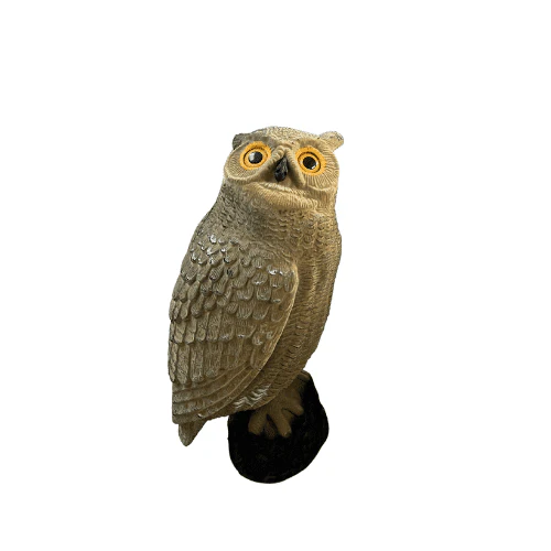 Uggla med flock - Image 2