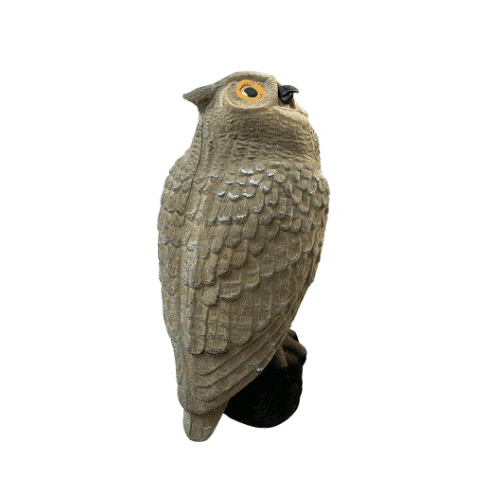 Uggla med flock - Image 3